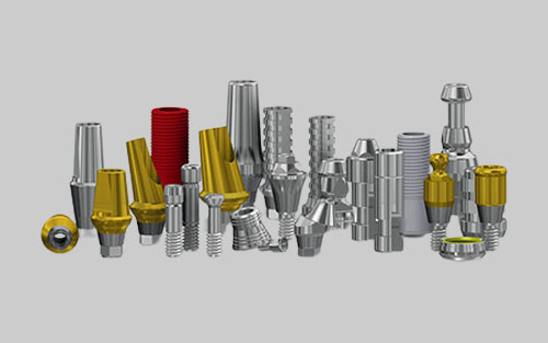 Implant Borne Prosthetics